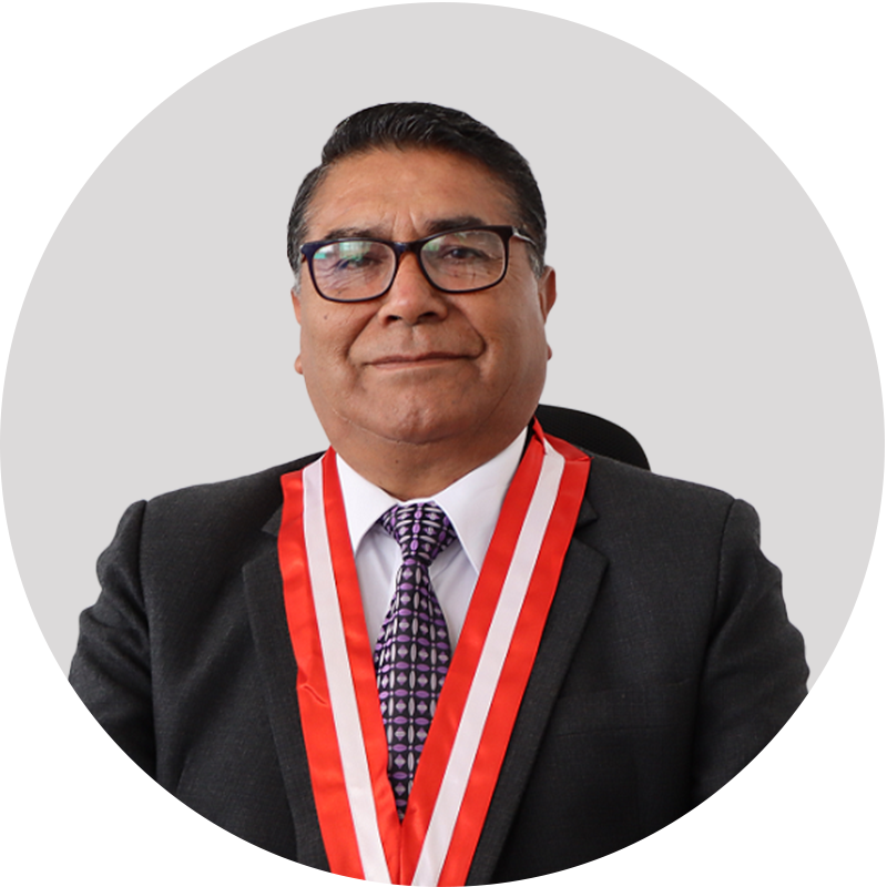 Dr. Elmer Limache Sandoval